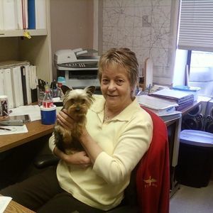 Meet your Posher, Faye